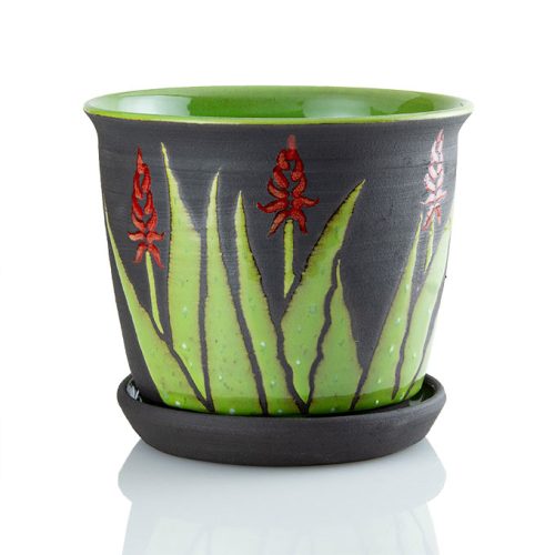 Blooming Aloe Planter BLK 6 INCH