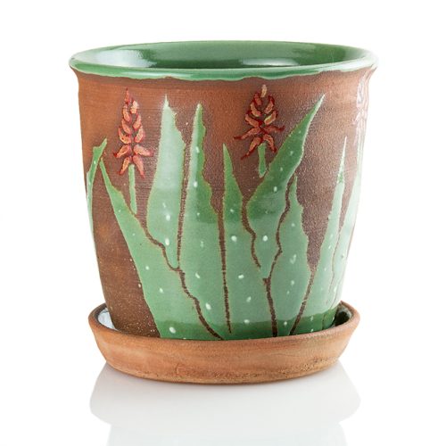 Blooming Aloe Planter RED 6 INCH