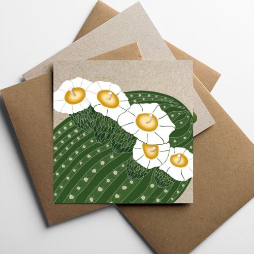 Blooming Saguaro Note Cards