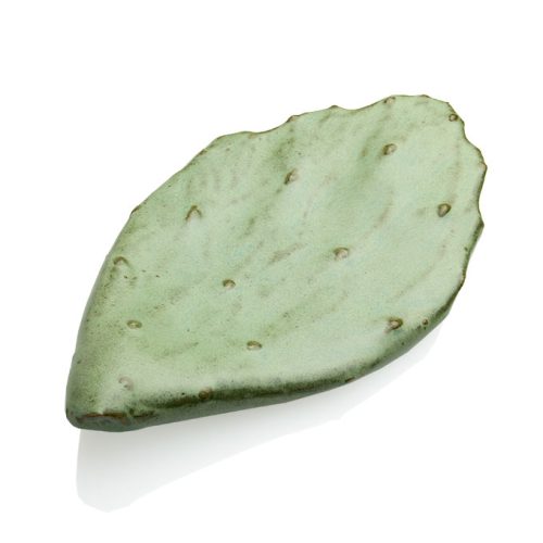 Prickly Pear Pad Dish