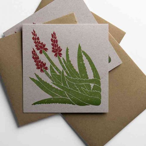 Blooming Aloe Notecards